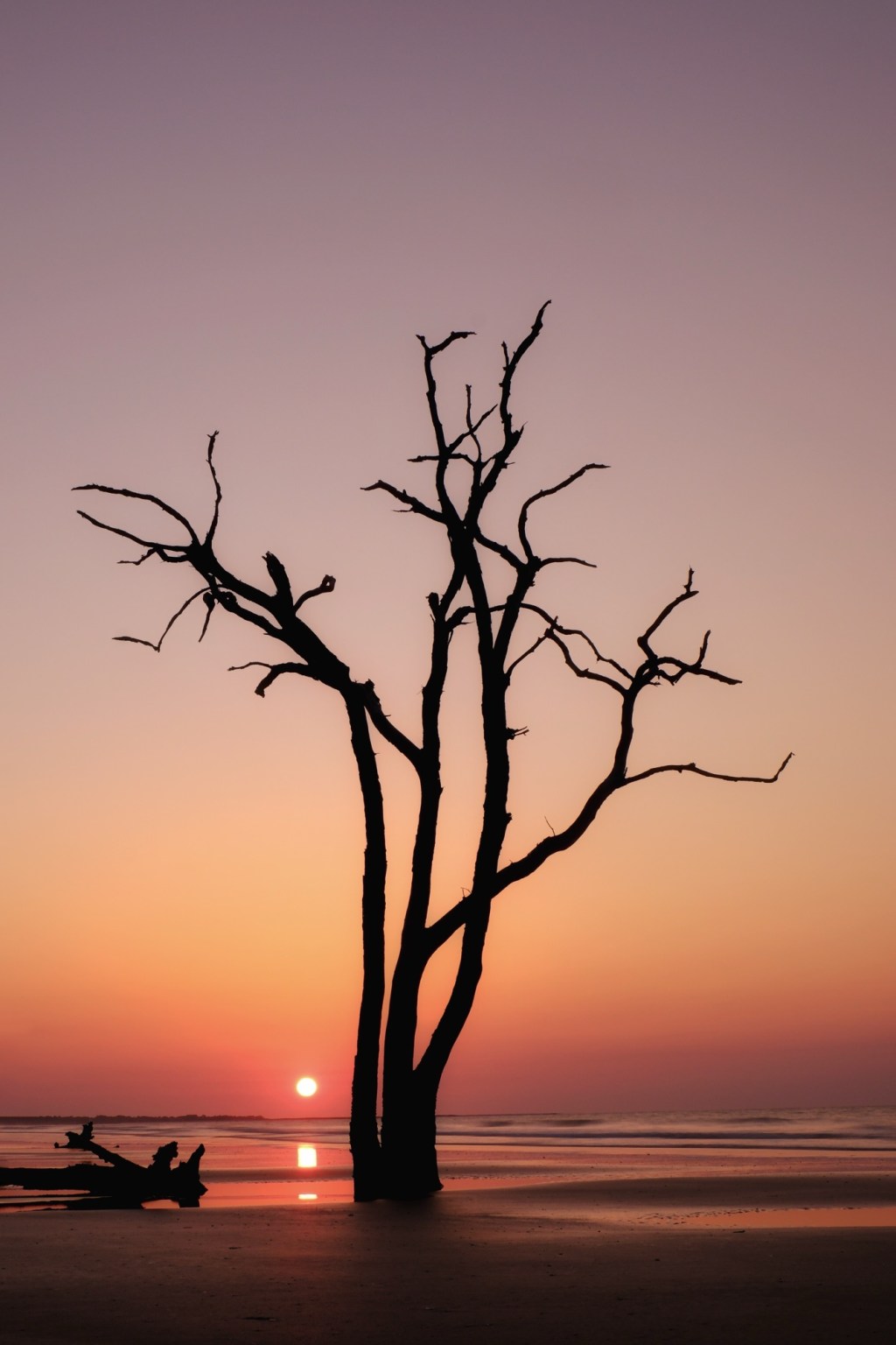 Southern Trip Log – Day 4- Edisto Beach,&nbsp;SC