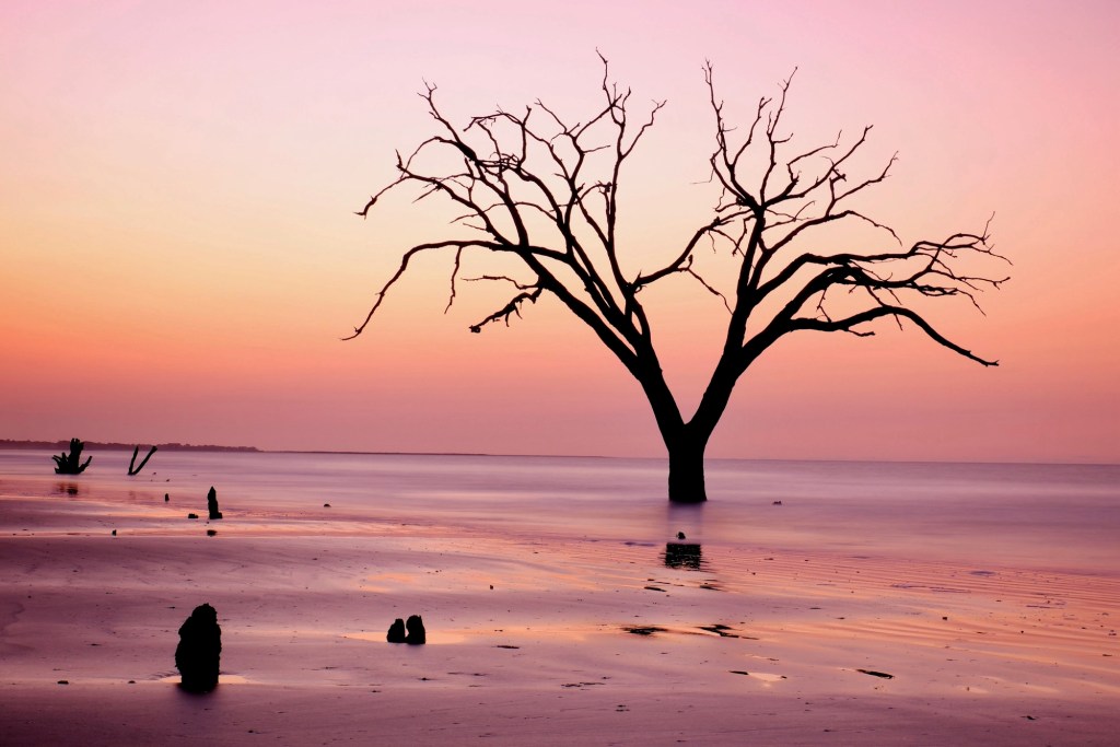 Southern Trip Log – Day 5 – Edisto&nbsp;Beach