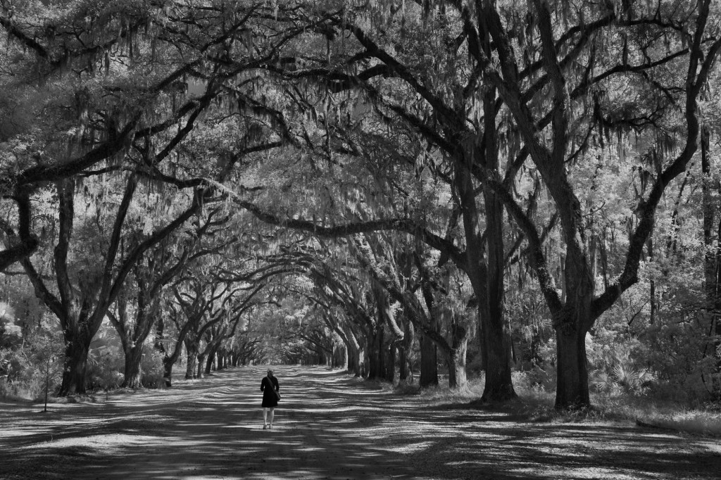 Southern Trip Log – Day 2 –&nbsp;Savannah