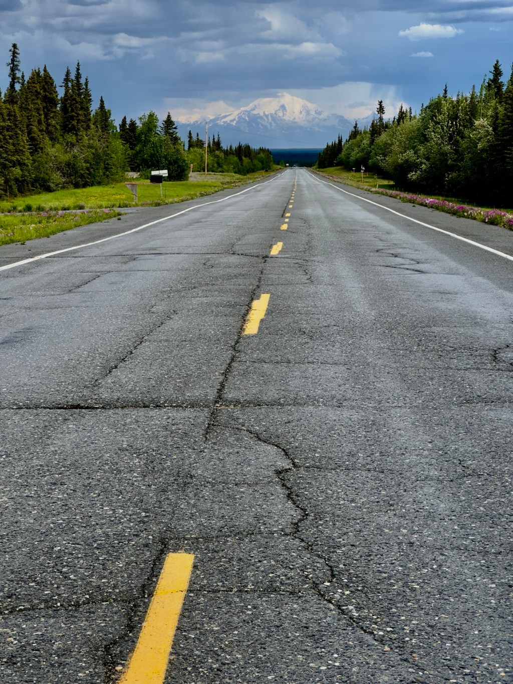 Alaska Field Report – The Great State of&nbsp;Alaska